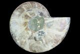 Cut Ammonite Fossil (Half) - Agatized #125574-1
